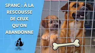 SPANC : à la rescousse de ceux qu'on abandonne