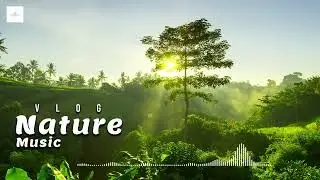 Famous turkey ringtone | Wolf ringtone new | Turkey Ringtone 2023 Sad| Turkey Ringtone | Song 2023