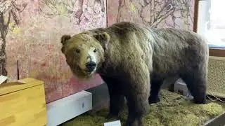 Музей в Усть-Ордынске