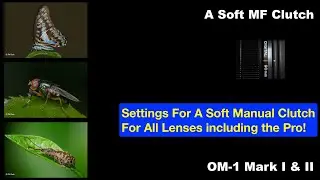 A Soft Manual Focus Clutch for all Olympus and OM System lenses