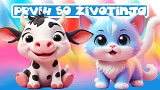 Moje Prve Riječi 👶🏻 Prvih 50 ŽIVOTINJA za jasličku djecu 🎴Edukativni video za bebe