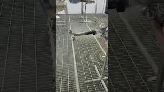 Как же это залипательно...