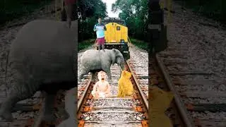 vfx funny baby cat shorts|vfx effect|visual effect|blender vfx|vfx green screen effect,#vfxshort🔥😆💥