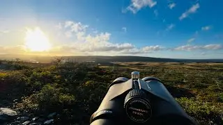 2022 Newfoundland Moose Hunt with Efford’s Hunting Adventures
