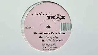 Bamboo Curtain - In The Shade (Mix 2) // Chic Trax Records (1996)