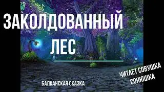 Заколдованный лес
