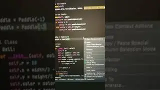 Playing ping pong game in using python code 