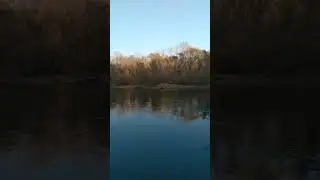 ИТОГ УССУРИ.