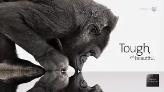 Genius Materials on the ISS - Gorilla Glass - Science at NASA