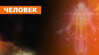 ВЕБИНАР: " ЧЕЛОВЕК"