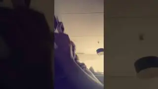 Snappie