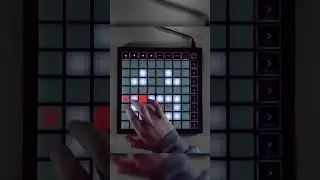 METAMORPHOSIS 1993 - 2021 Phonk Remix on Launchpad 
