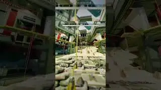 Valkyrie vs Evac Tower