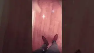 A roach don’t stand a chance in the corner, bitch!