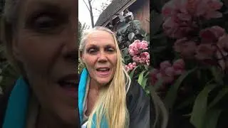 Message from a Priestess - COVID-19