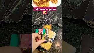 21 ноября 2023 г.