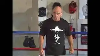 bas rutten lethal street fighting part 2
