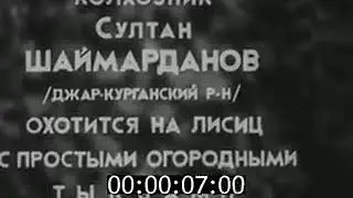 Түлкі аулаудың тәсілі.   Охота на лисицу.