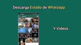 Descargar estado de whatsapp