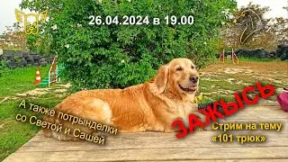 ЗАЖЫСЬ. 26.04.2024