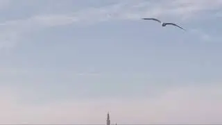 Турция 1-й 2-й Мост  Между Европы и Азии..