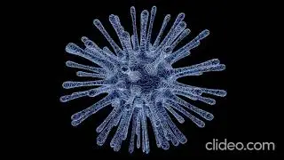 Coronavirus photos |images of coronavirus