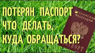Потерян паспорт -  что делать, куда обращаться