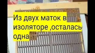 Из двух маток в изоляторе,осталась одна