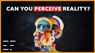 Why Our Reality Is Not What It Seems...