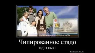 УЭК демотиваторы