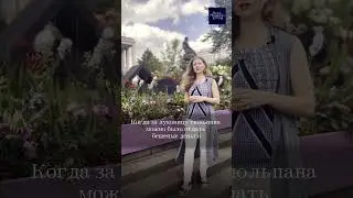 Тюльпаномания в Голландии