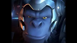 the average overwatch 2 experience