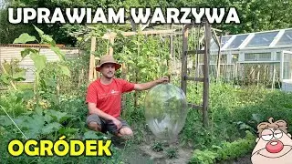 Wielkie ZMIANY! Sezon czas start! Co tam w moim ogródku?!