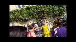 МАРИБОР - город в Словении   (репортаж)