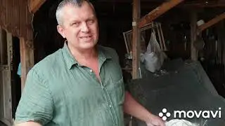 Дезинфекция родильных домиков