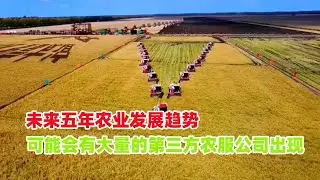 未来五年农业发展趋势，可能会有大量的第三方农服公司出现