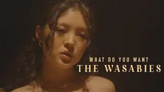 THE WASABIES - 'What do you want?' (Official music video)