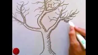 How To Draw A Beautiful Tree With Hand.