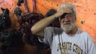 Joe and the Worms