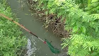 hasil yg memuaskan  (team penyelamat ikan tenggelam)