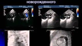 Лекция Александра Соколова