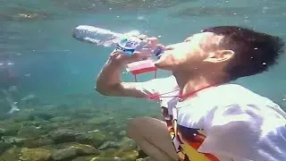 Absurd Memes I Found In The Sea