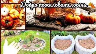 Клумбы больше нет🙈/Наша идея для посадки клубники 🍓