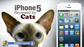 iPhone 5 reviewed by cats- Fe9News Episode 6.
