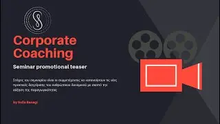 Corporate Coaching Seminar | Sofia Banagi