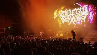 SKELETAL REMAINS   Full Concert ｜ Chile Terrorfest 2025 1080p30