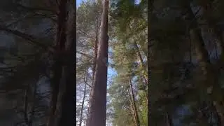 куда поехать с палатками? мы знаем место📍 #палатки #отдыхспалаткой #кайф #отдых #палатка #туристы