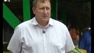 Арбузы и дыни только по документам