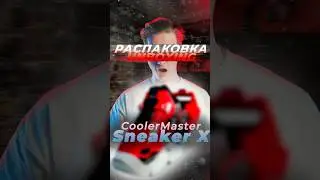 Да, это корпус для ПК / Yes, it's a PC case / Самый необычный кейс 