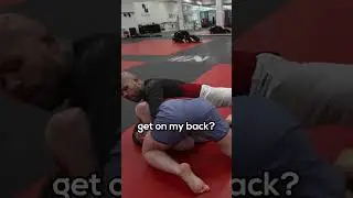 Black Belt's Thoughts On Brazilian Black Belt
